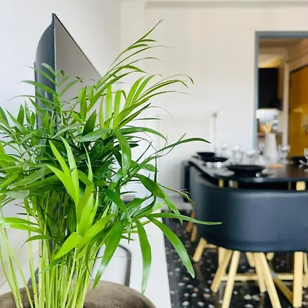 Apartment Bel Spacieux & Proche Centre Montpellier
